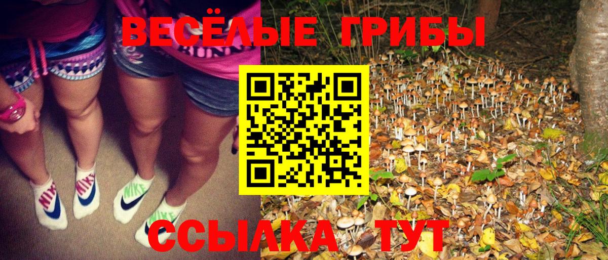 Псилоцибиновые грибы GOLDEN TEACHER  Галлюциногенные грибы мухоморы  Вход с VPN  Вязьма 